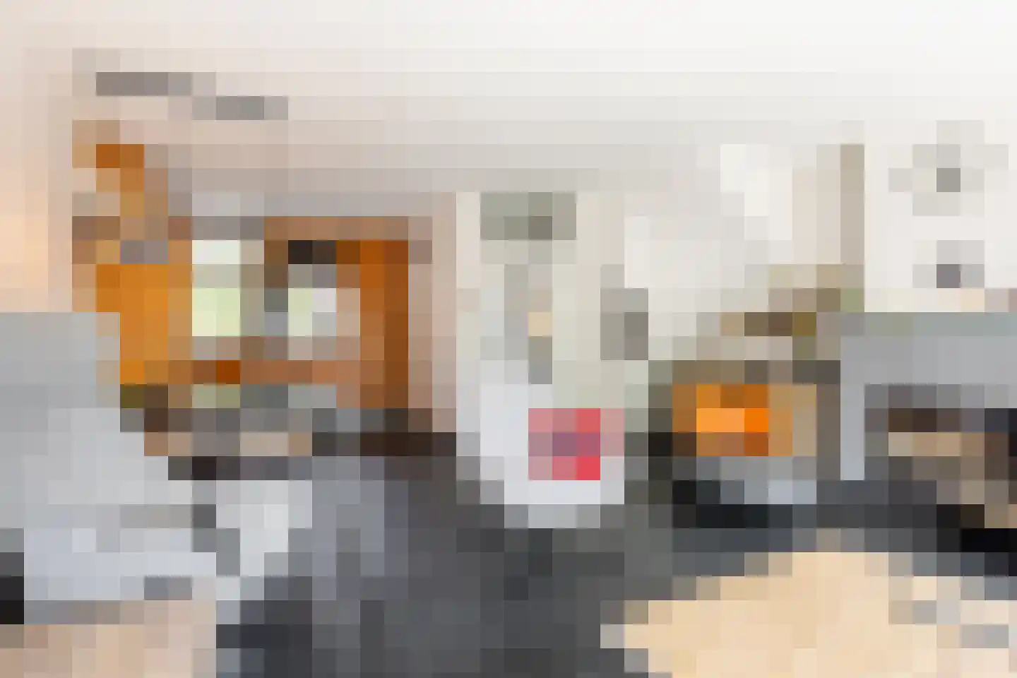 Groenenweer 5 Sliedrecht thumbnail 6