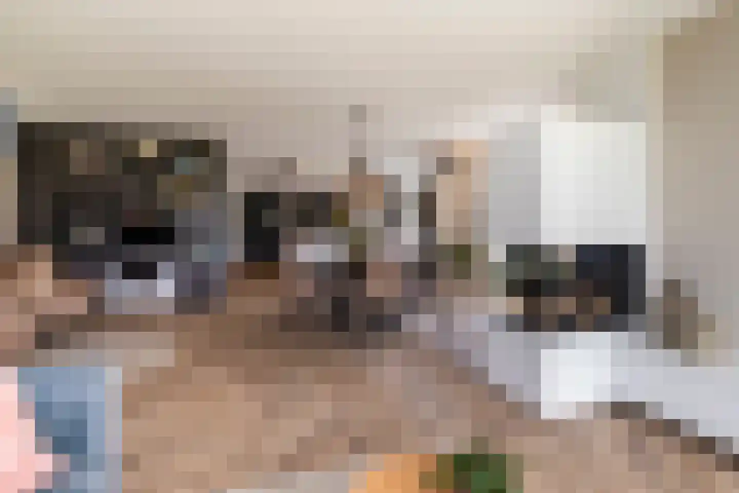 Groenepad 36 Kwintsheul thumbnail 15