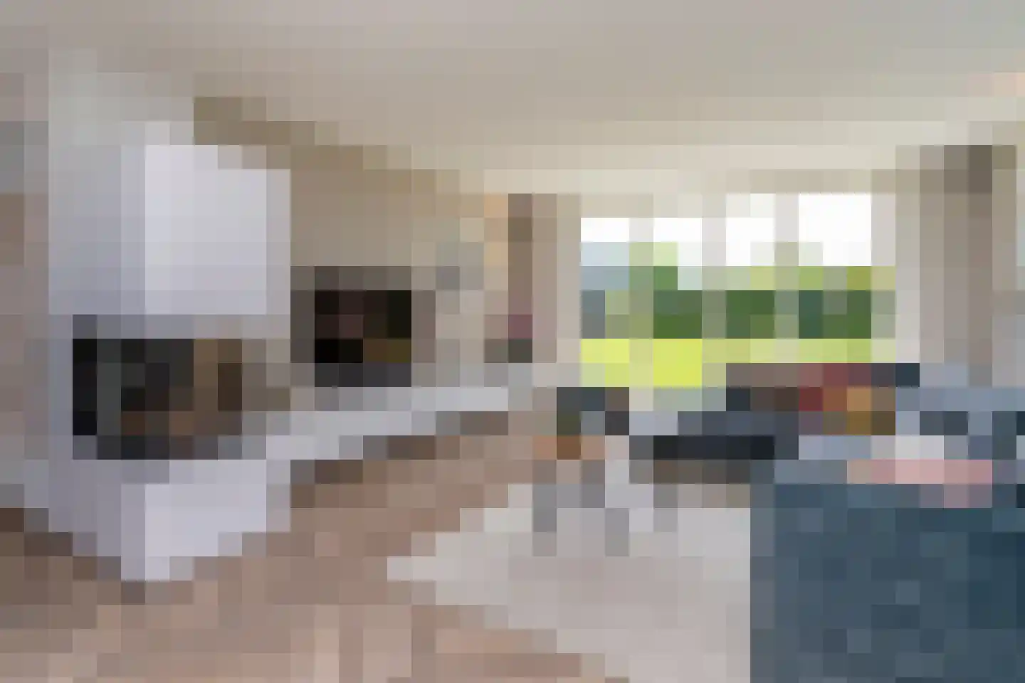Groenepad 36 Kwintsheul thumbnail 19