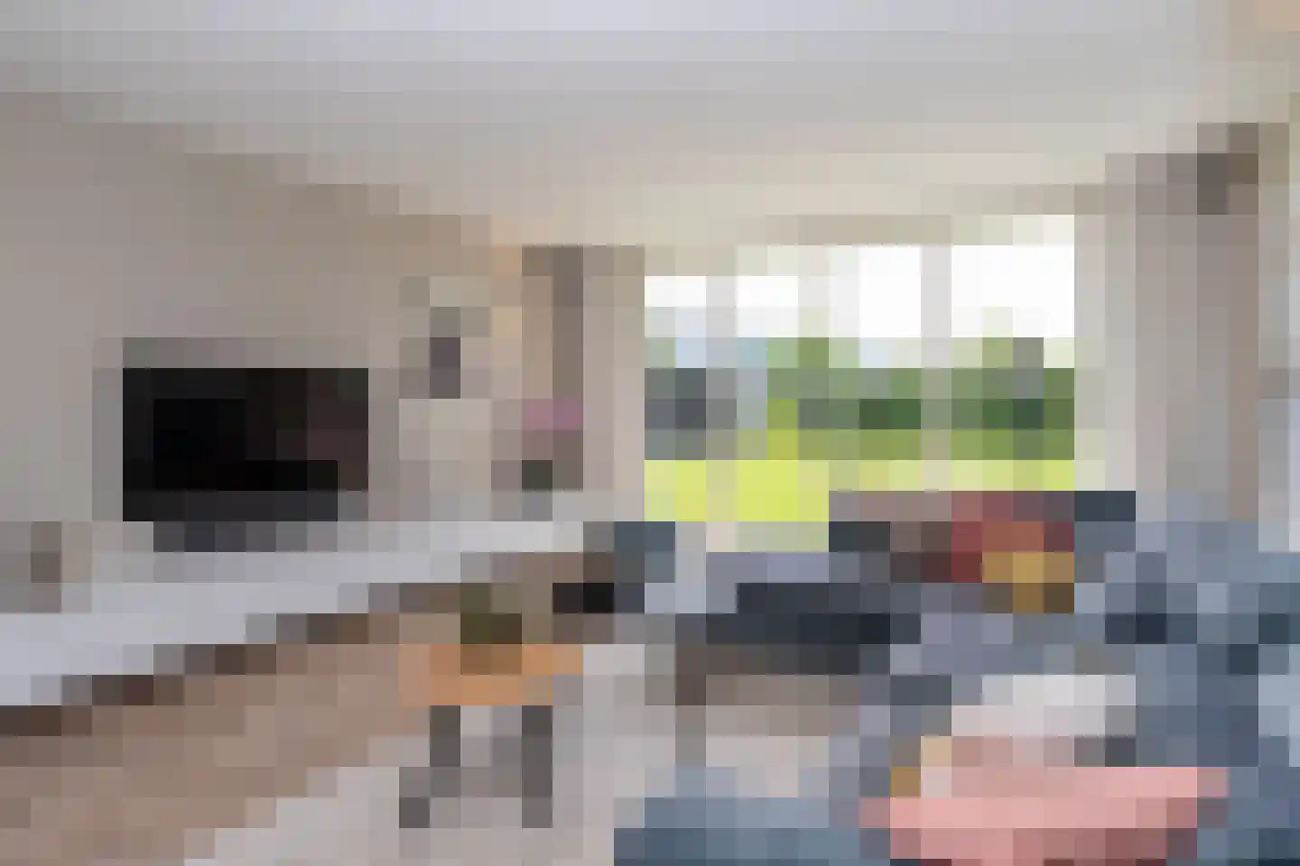 Groenepad 36 Kwintsheul thumbnail 20