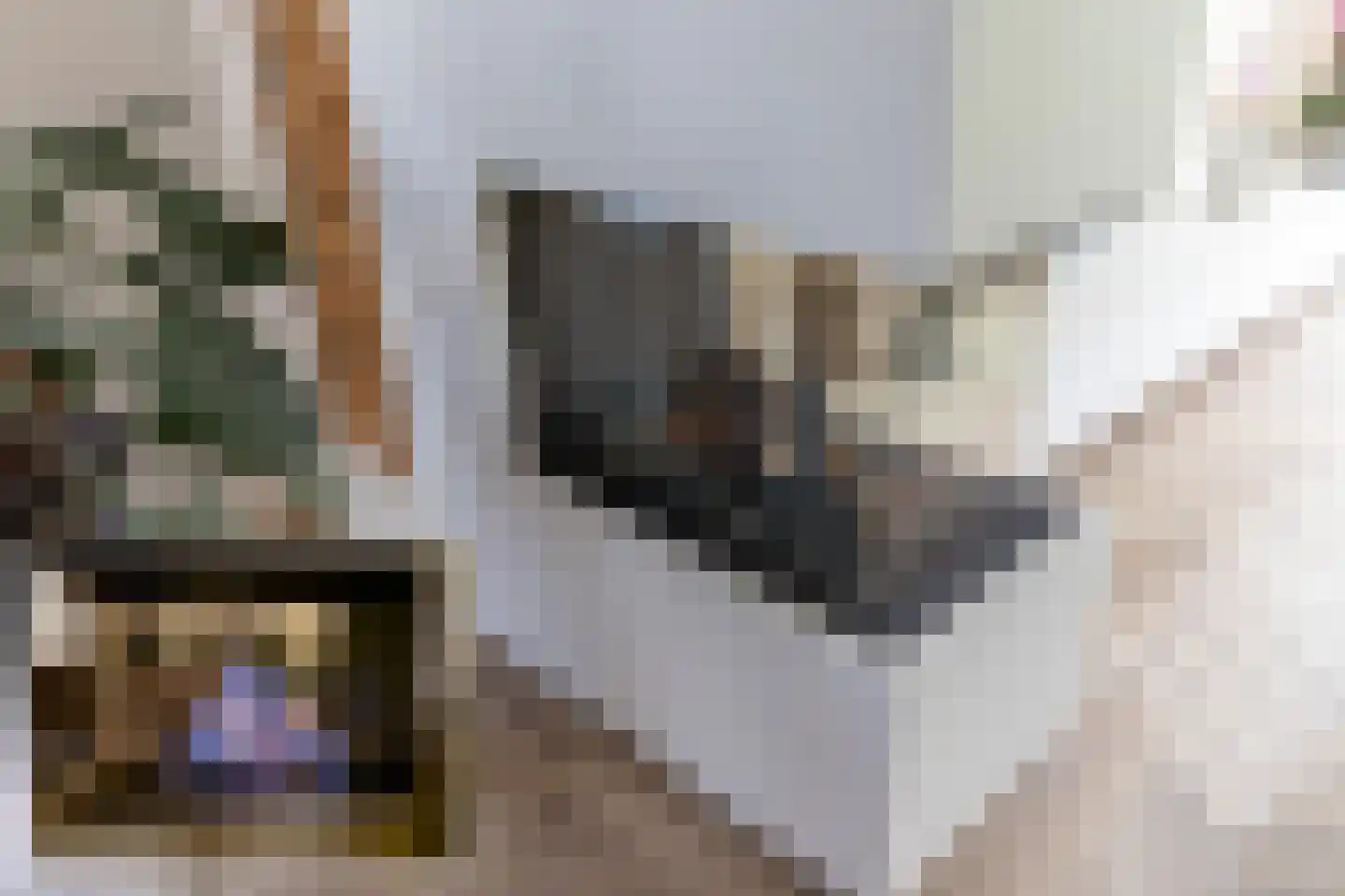Groenepad 36 Kwintsheul thumbnail 21