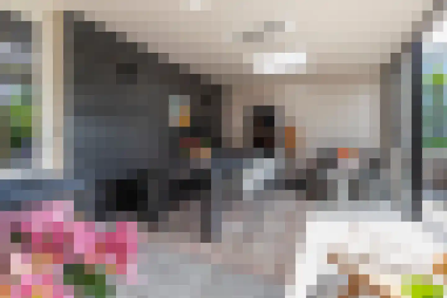 Groenepad 36 Kwintsheul thumbnail 22