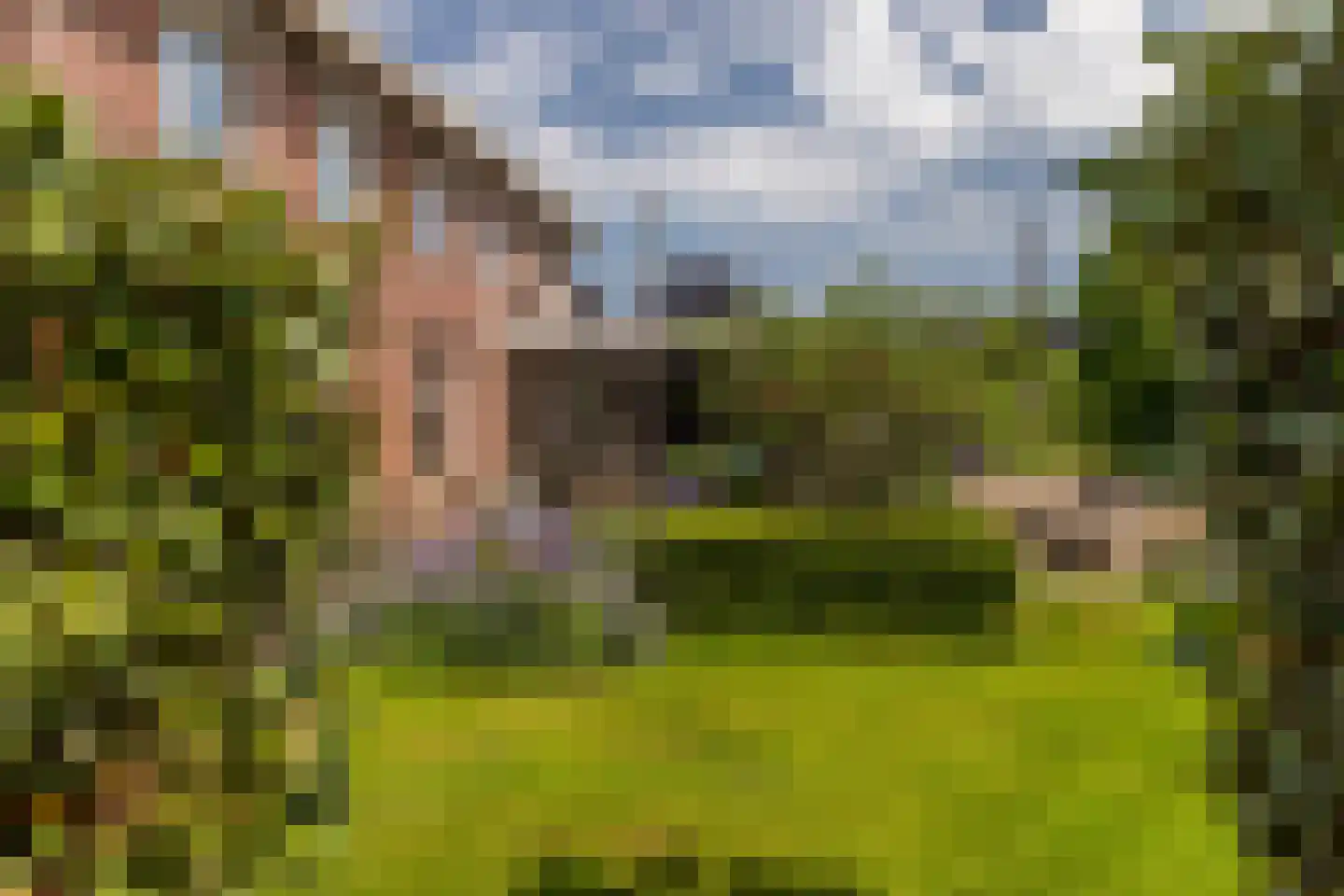 Groenepad 36 Kwintsheul thumbnail 26
