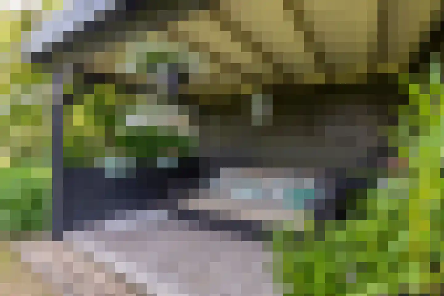 Groenepad 36 Kwintsheul thumbnail 28