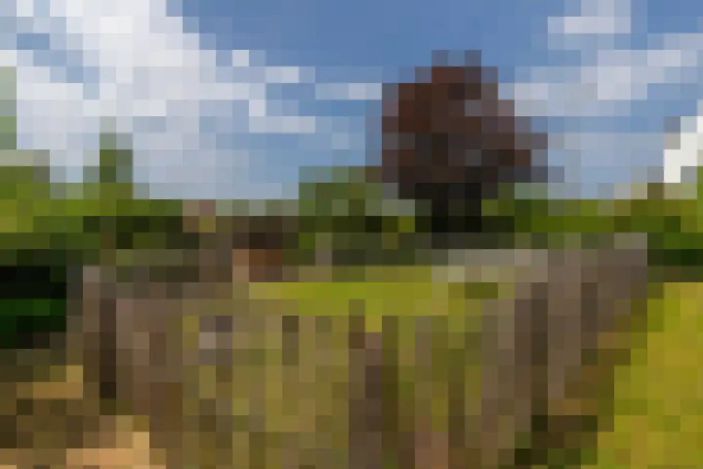 Groenepad 36 Kwintsheul thumbnail 29