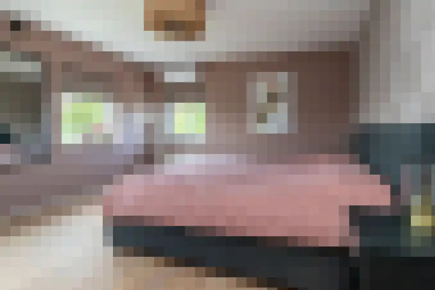Groenepad 36 Kwintsheul thumbnail 37