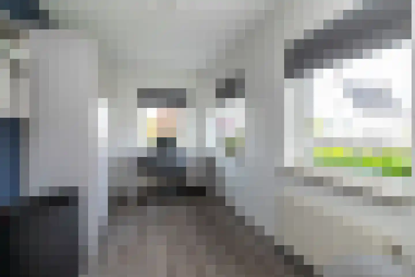 Groenepad 36 Kwintsheul thumbnail 42