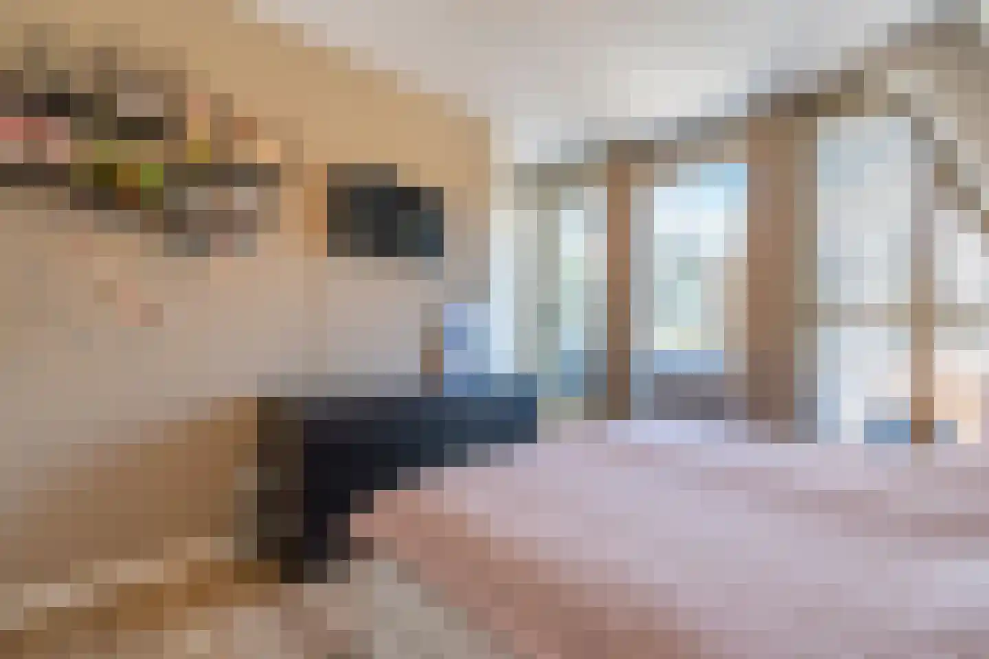 Groeneplaats 2 J Den Burg thumbnail 20