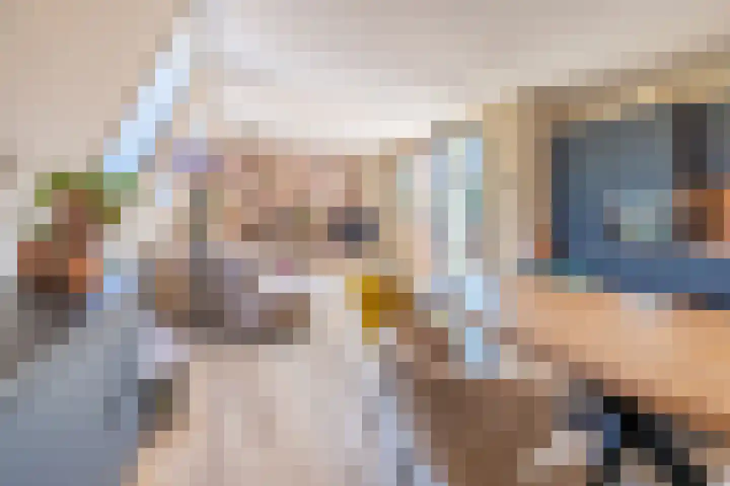 Groeneplaats 2 J Den Burg thumbnail 7