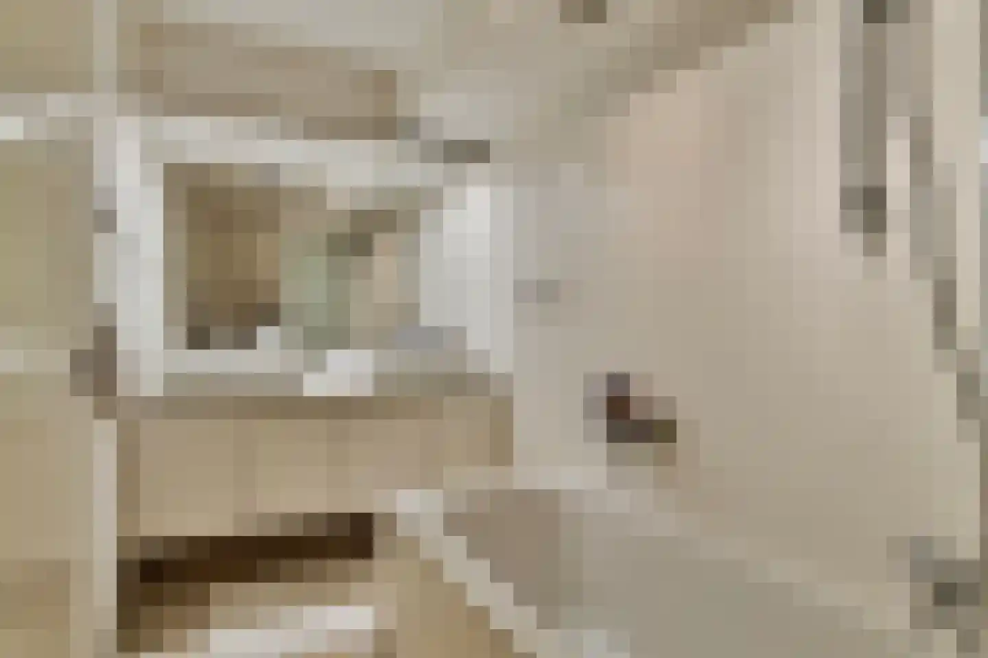 Groenerein 12 Cadier en Keer thumbnail 26