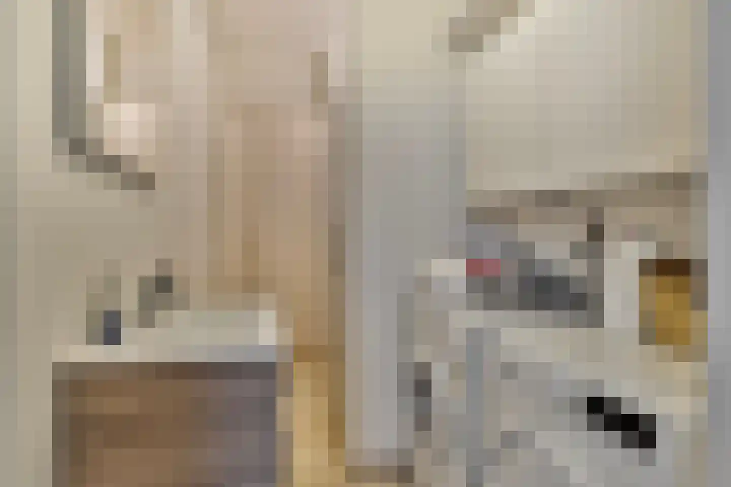 Groenerein 12 Cadier en Keer thumbnail 28