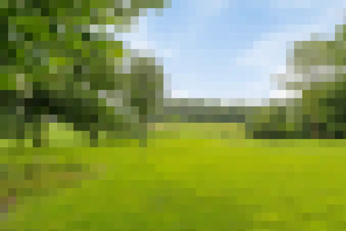 Groenerein 12 Cadier en Keer thumbnail 33