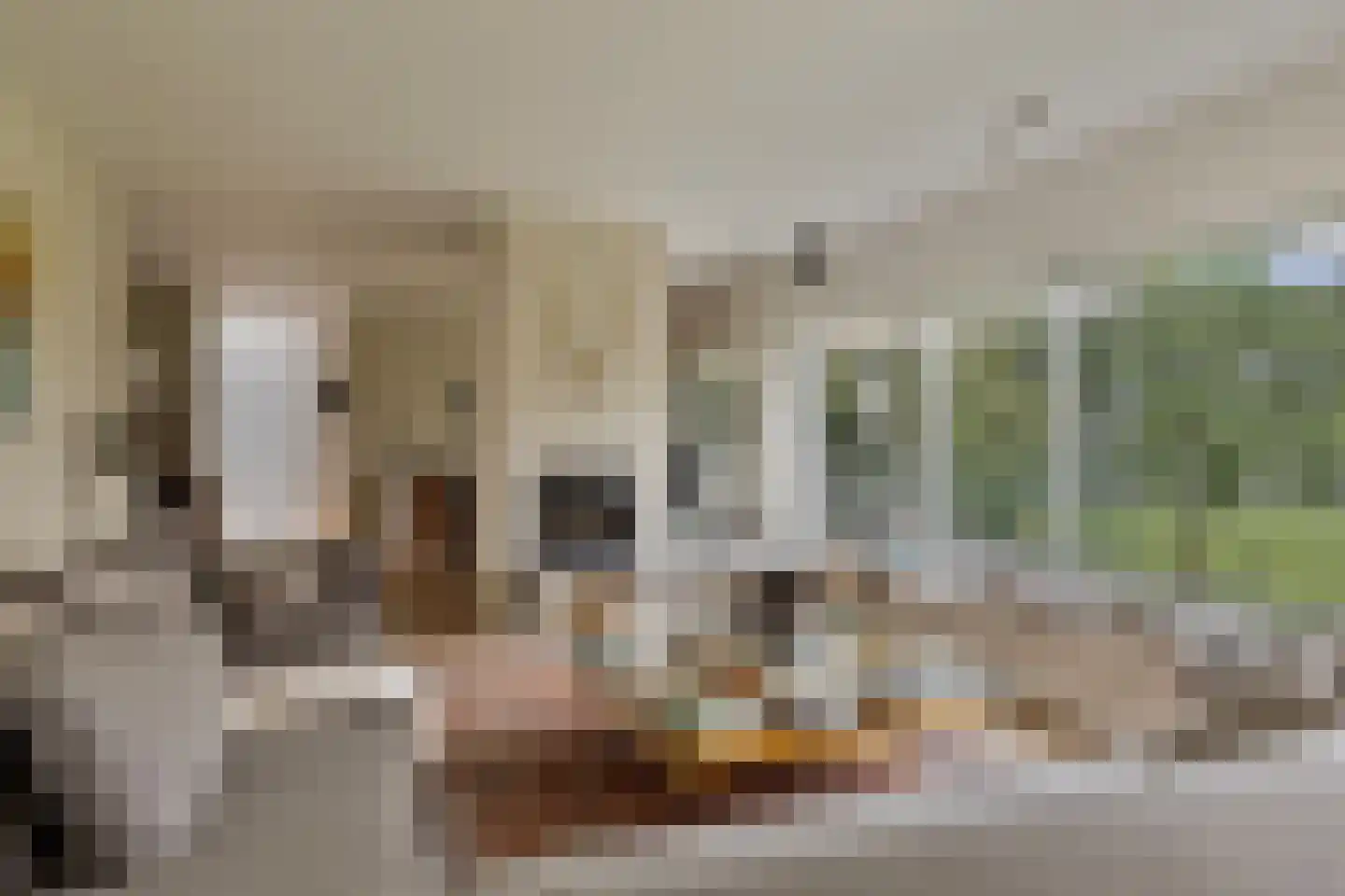 Groenerein 12 Cadier en Keer thumbnail 5