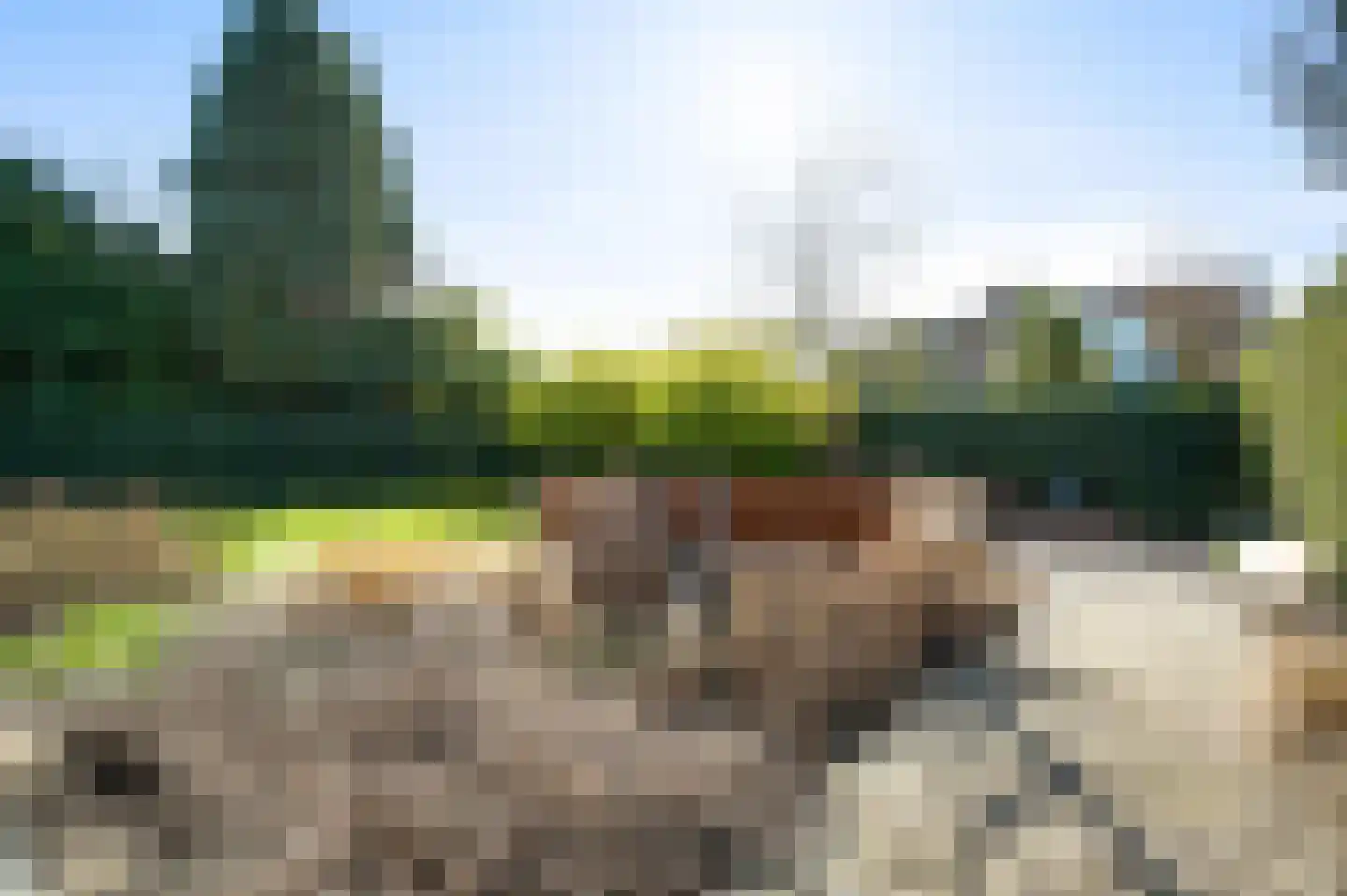 Groenerein 43 Cadier en Keer thumbnail 19