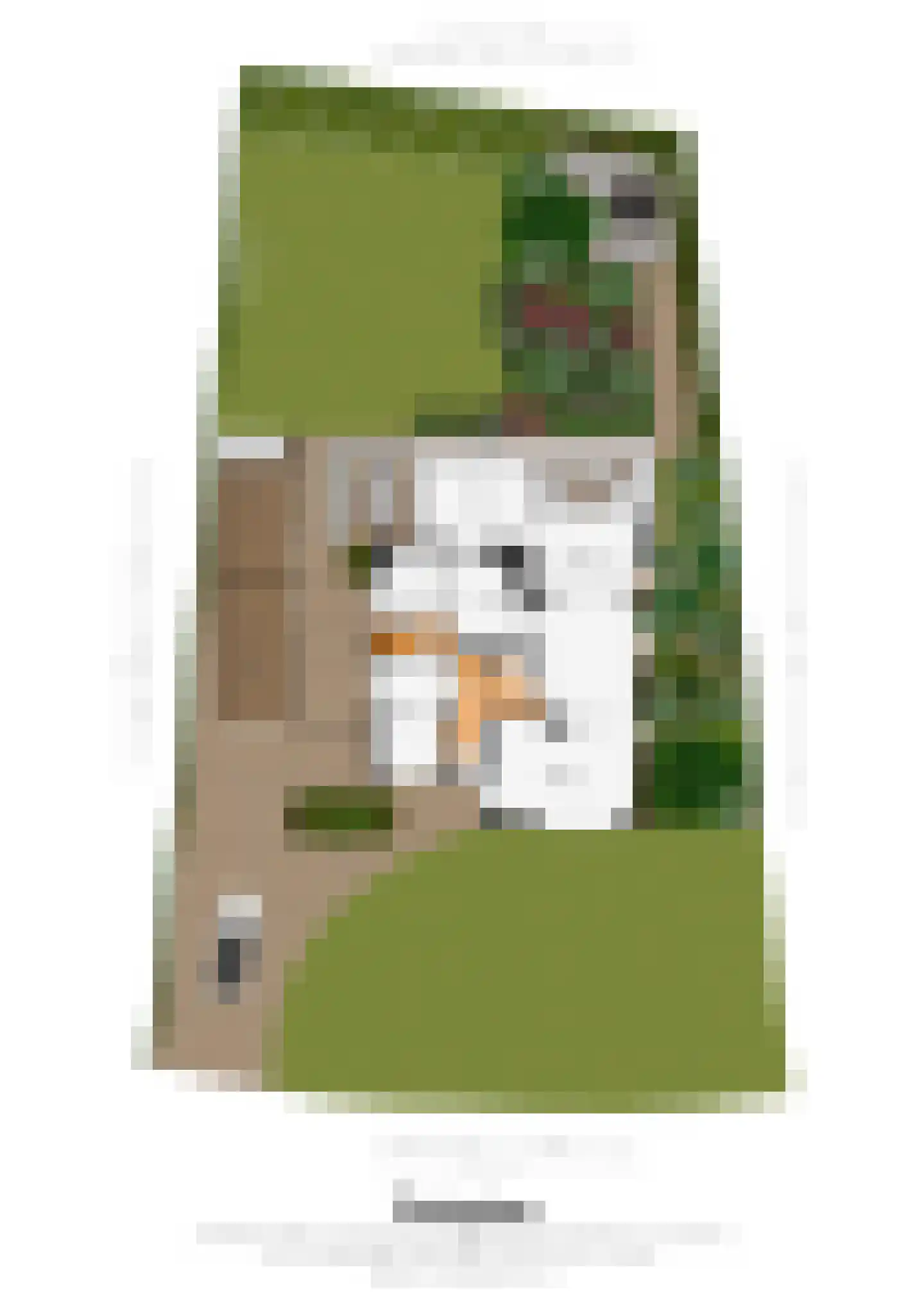Groenerein 43 Cadier en Keer thumbnail 24
