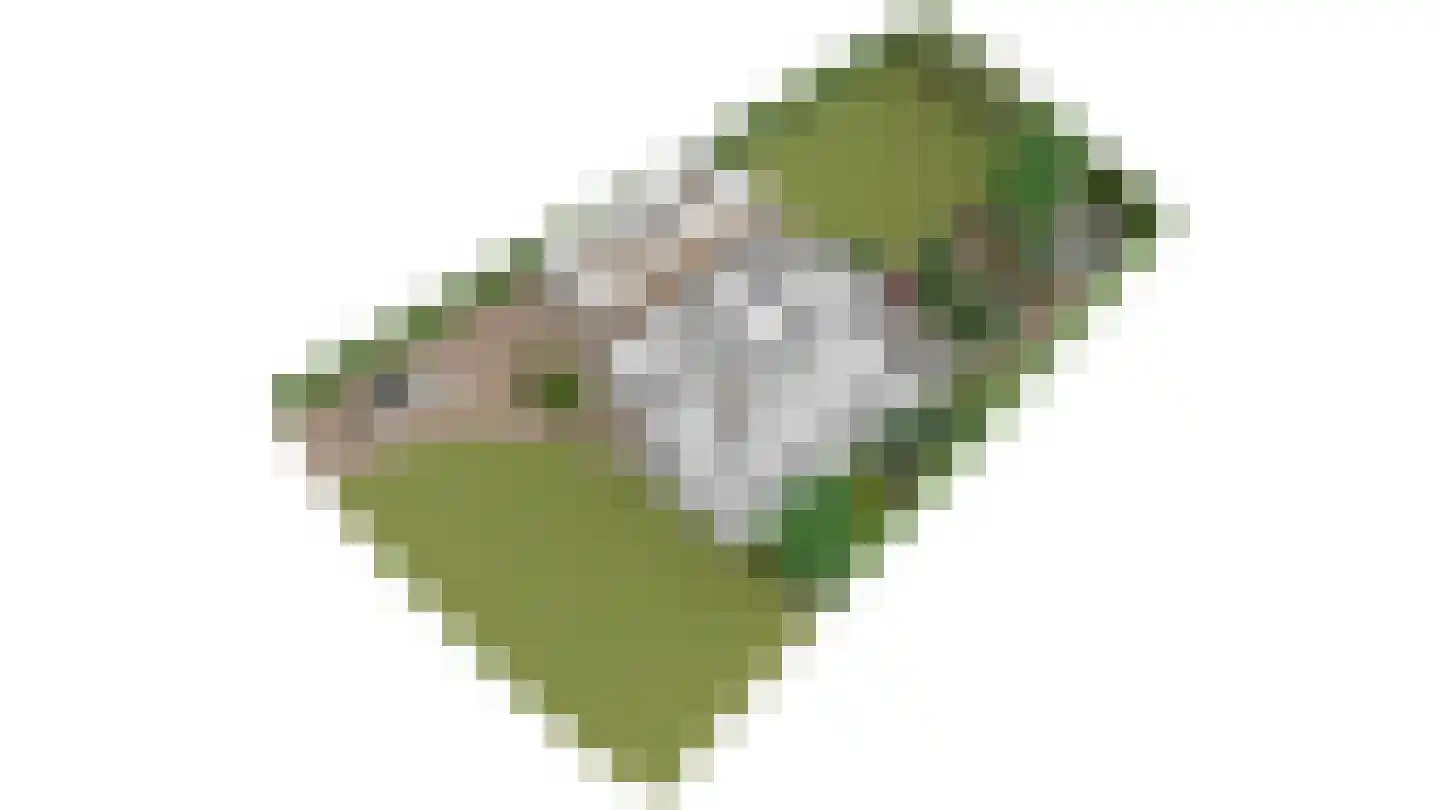 Groenerein 43 Cadier en Keer thumbnail 25