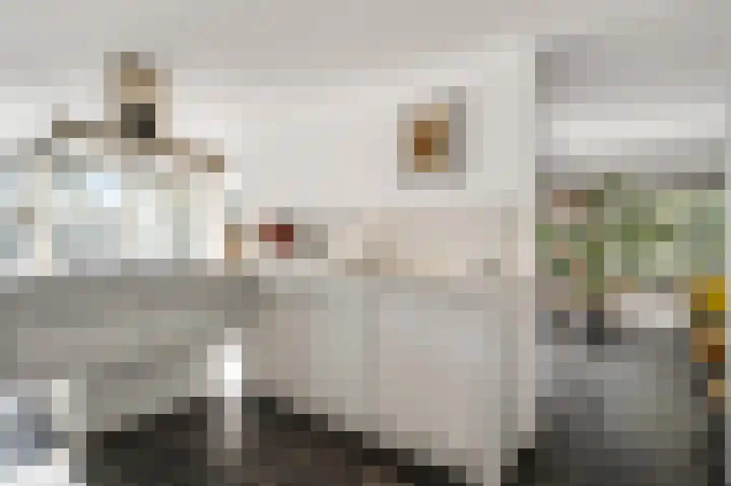 Groenerein 43 Cadier en Keer thumbnail 9