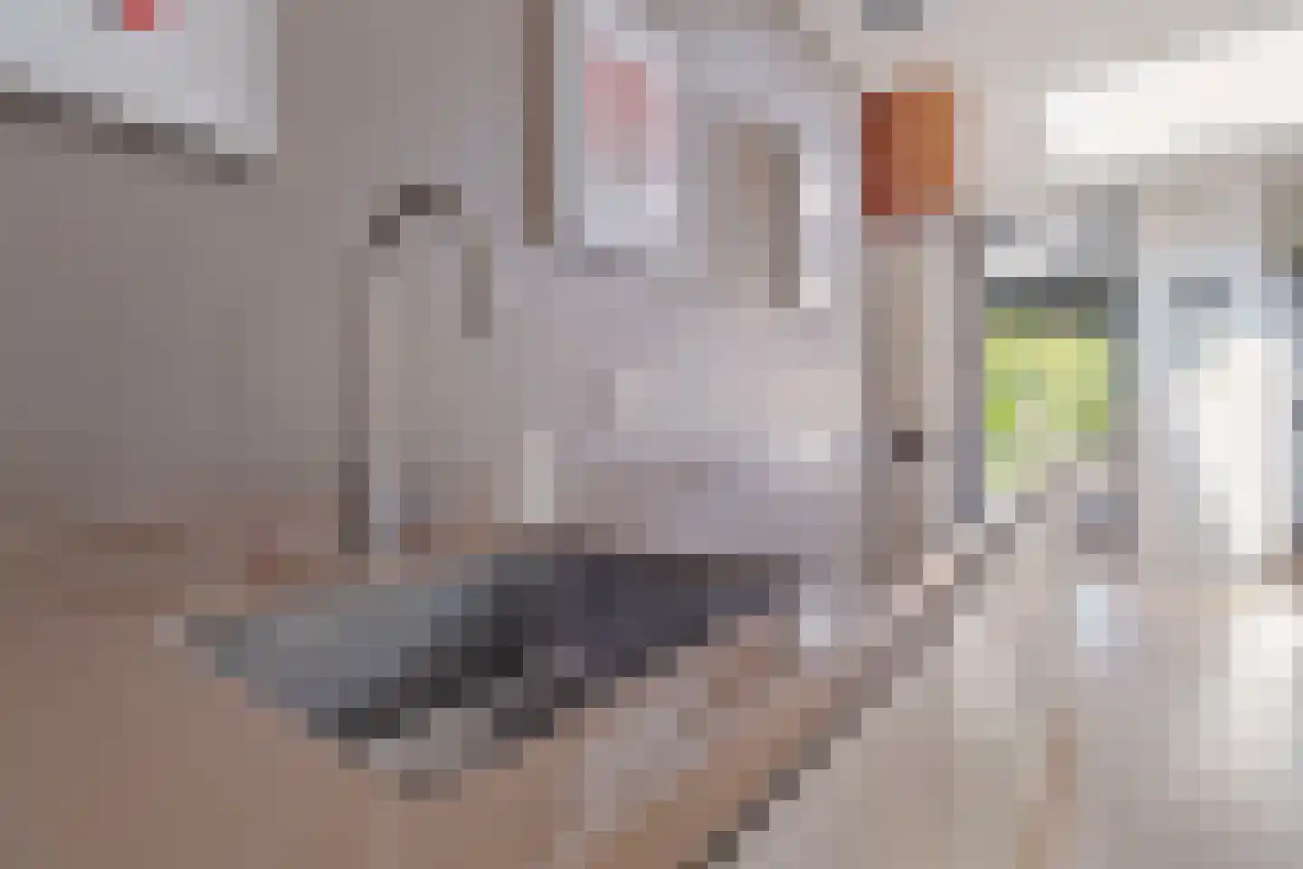 Groenerein 9 Cadier en Keer thumbnail 10
