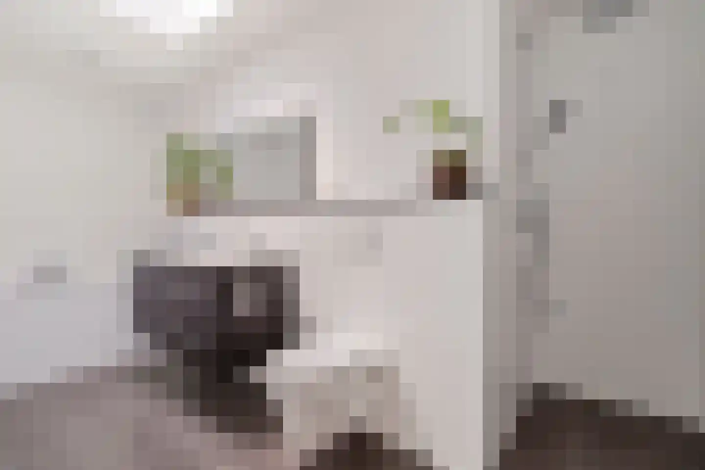 Groenerein 9 Cadier en Keer thumbnail 20