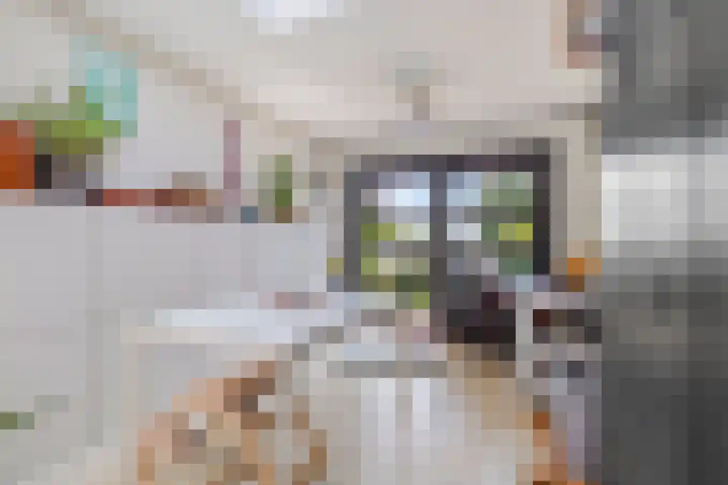 Groenerein 9 Cadier en Keer thumbnail 25