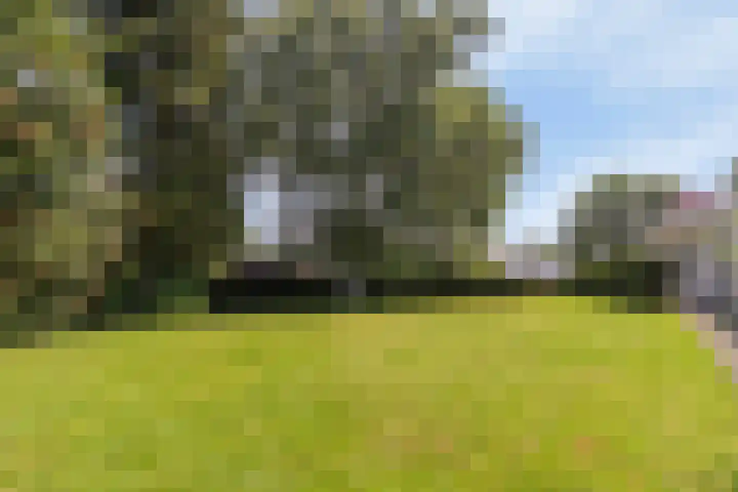 Groenerein 9 Cadier en Keer thumbnail 27
