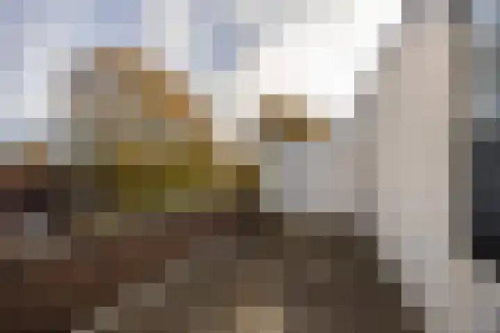 Groenesteeg 24 Leiden thumbnail 19