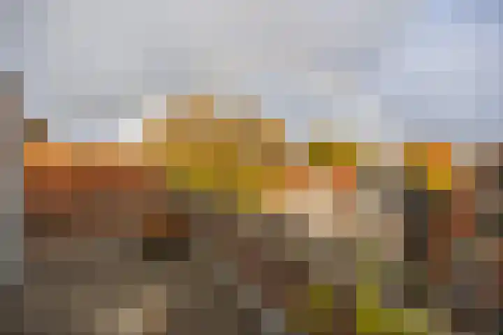 Groenesteeg 24 Leiden thumbnail 20