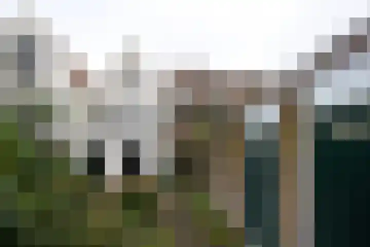 Groenesteeg 24 Leiden thumbnail 21