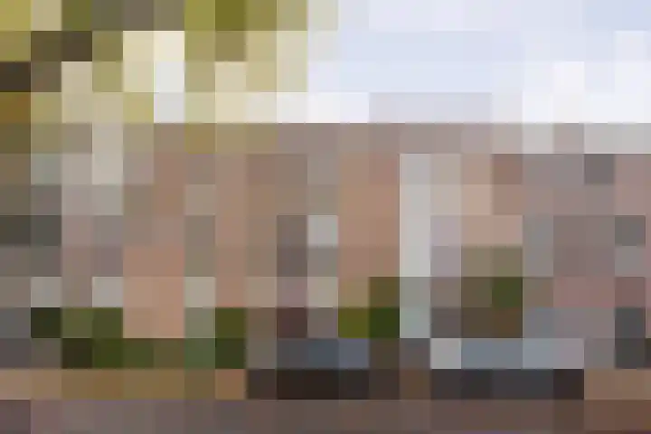 Groenesteeg 24 Leiden thumbnail 4