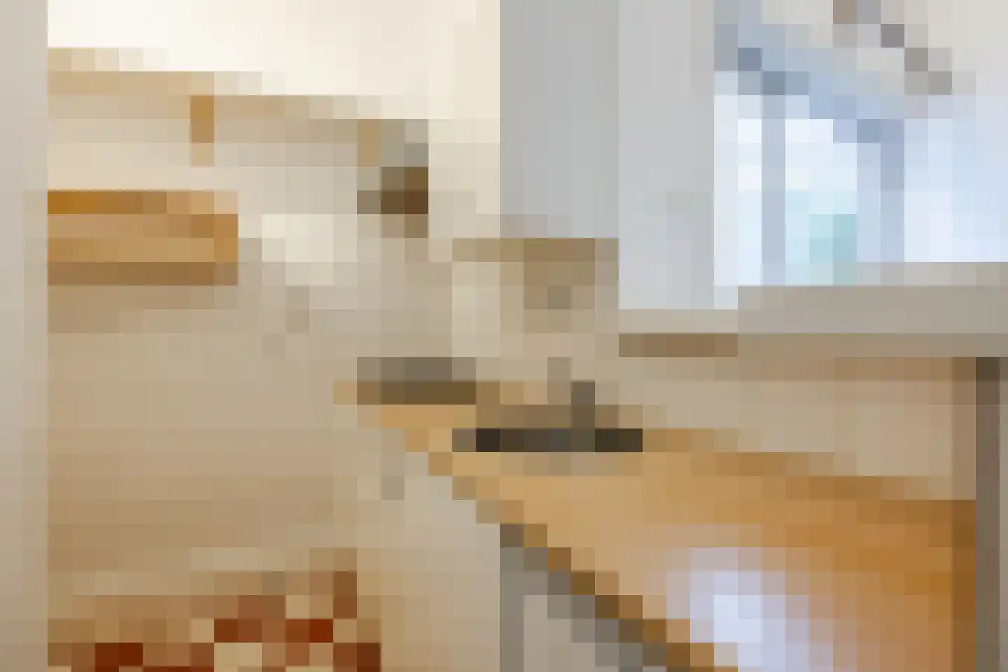 Groenesteeg 38 Leiden thumbnail 19