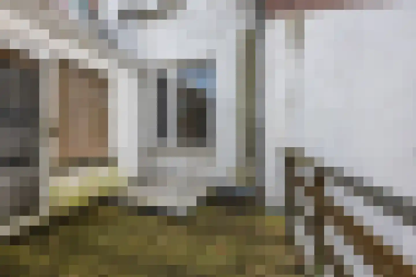 Groenesteeg 38 Leiden thumbnail 36