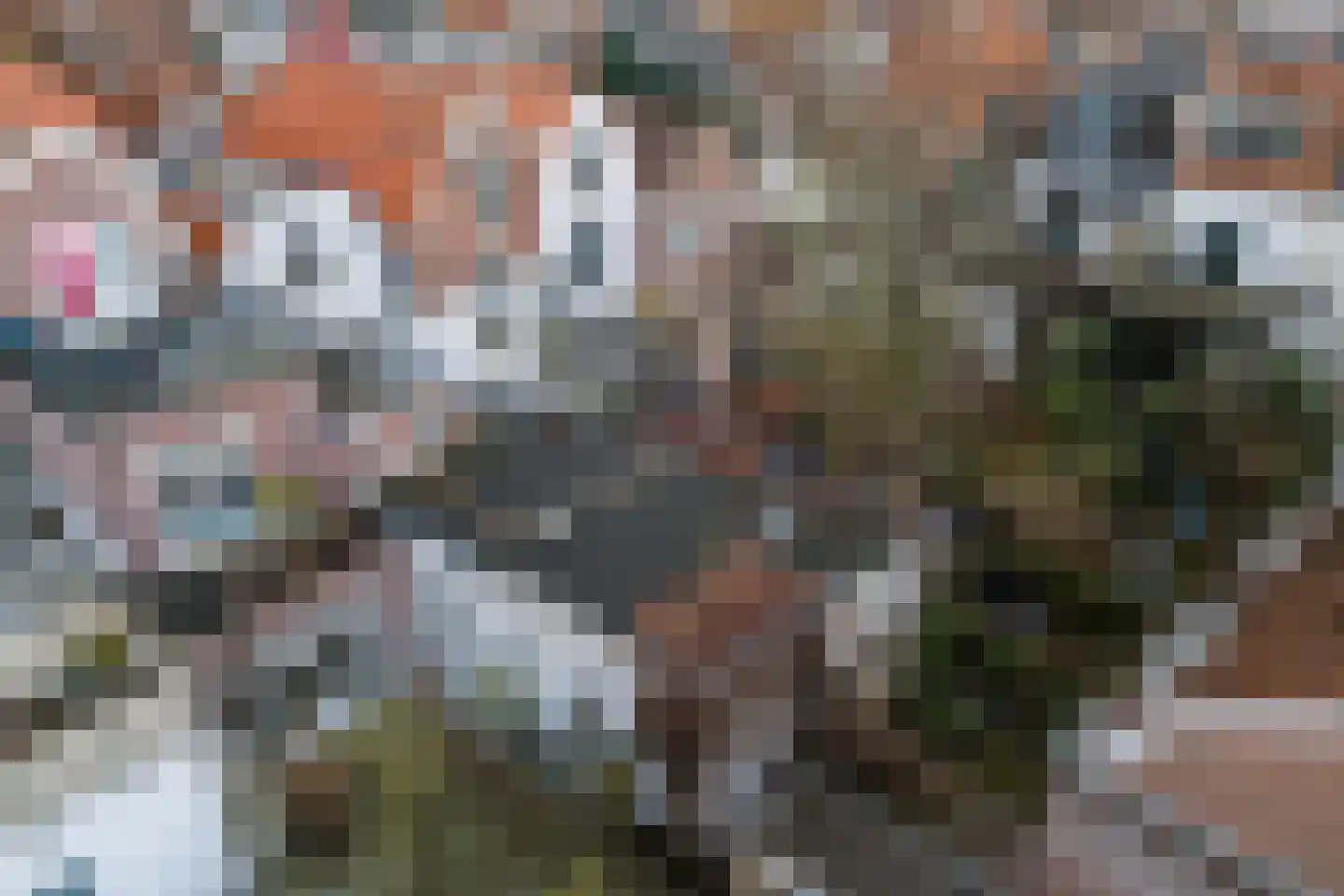 Groenesteeg 38 Leiden thumbnail 44