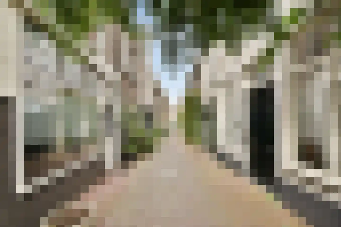 Groenesteeg 4 Leiden thumbnail 31