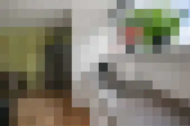 Groenestein 15 Alphen aan den Rijn thumbnail 10