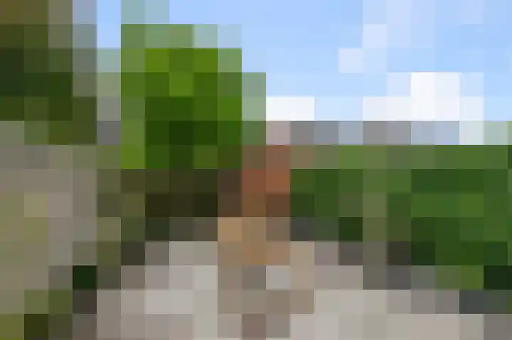 Groenestein 15 Alphen aan den Rijn thumbnail 25