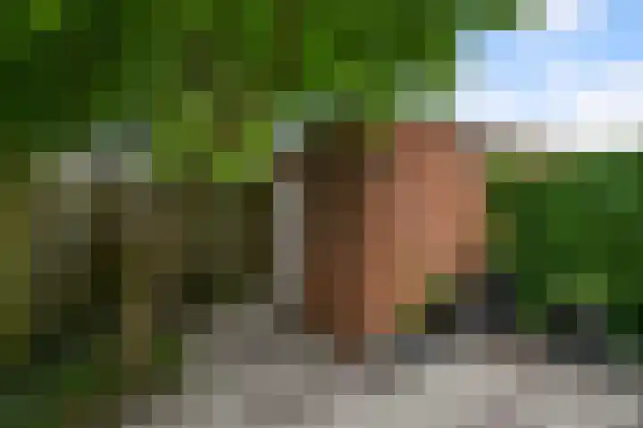 Groenestein 15 Alphen aan den Rijn thumbnail 26