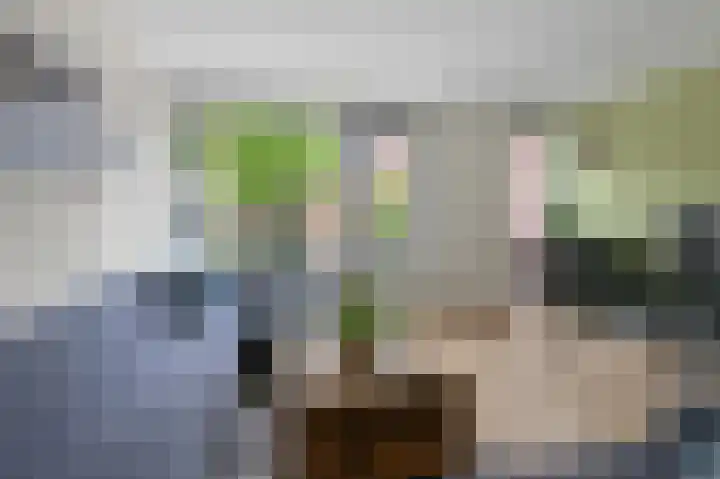 Groenestein 15 Alphen aan den Rijn thumbnail 7