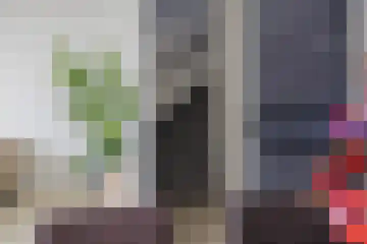 Groenestein 17 Alphen aan den Rijn thumbnail 12