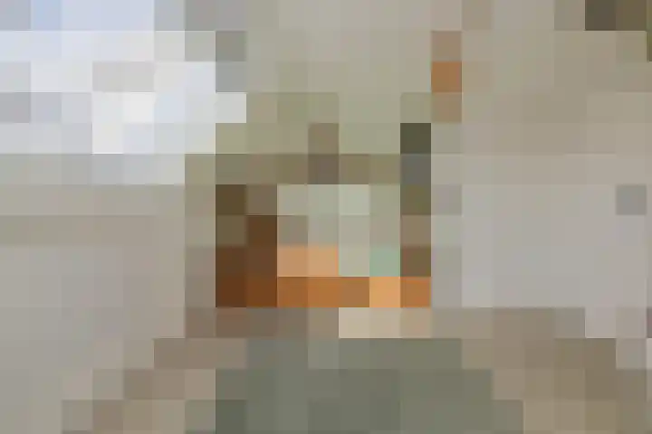 Groenestein 17 Alphen aan den Rijn thumbnail 31