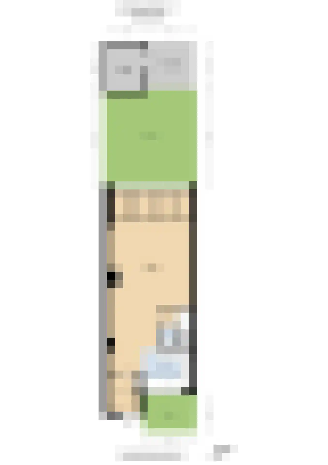 Groenestein 17 Alphen aan den Rijn thumbnail 32