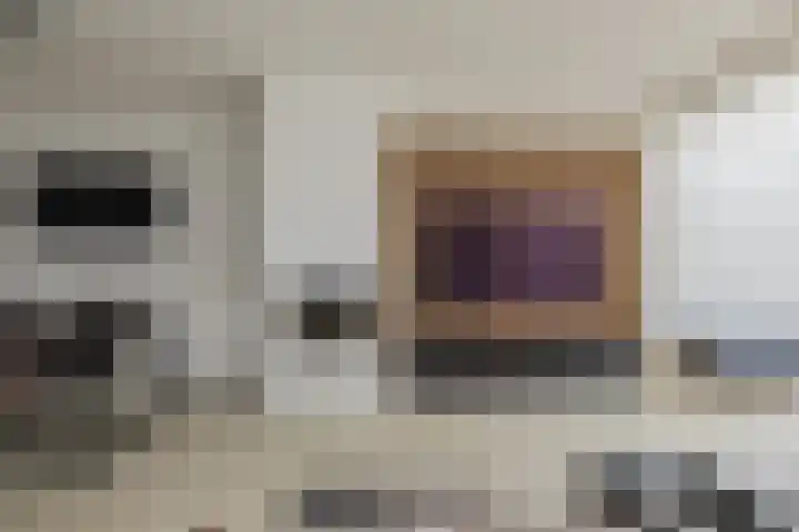 Groenestein 17 Alphen aan den Rijn thumbnail 5