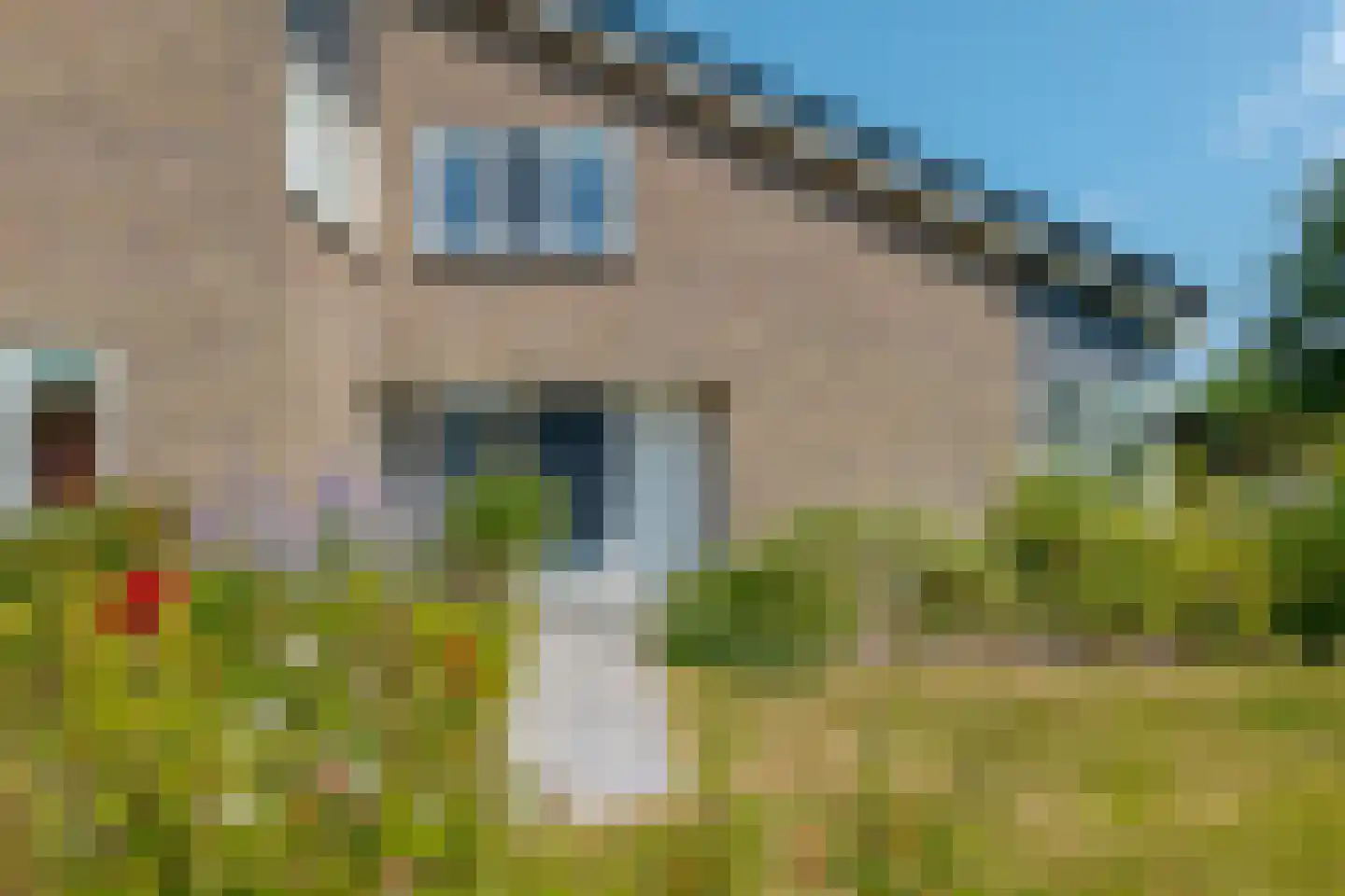 Groenestein 21 Roden thumbnail 12