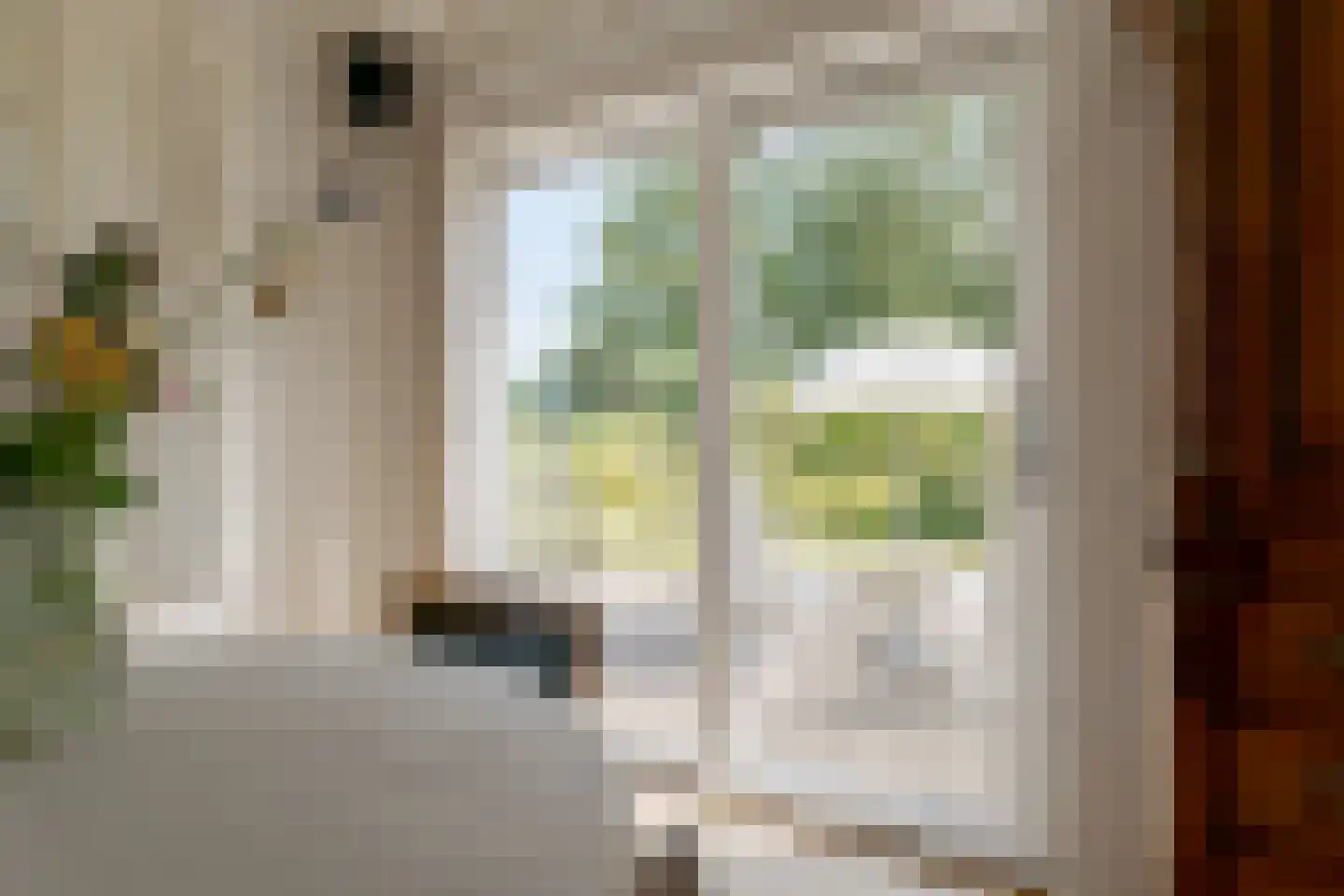 Groenestein 21 Roden thumbnail 24
