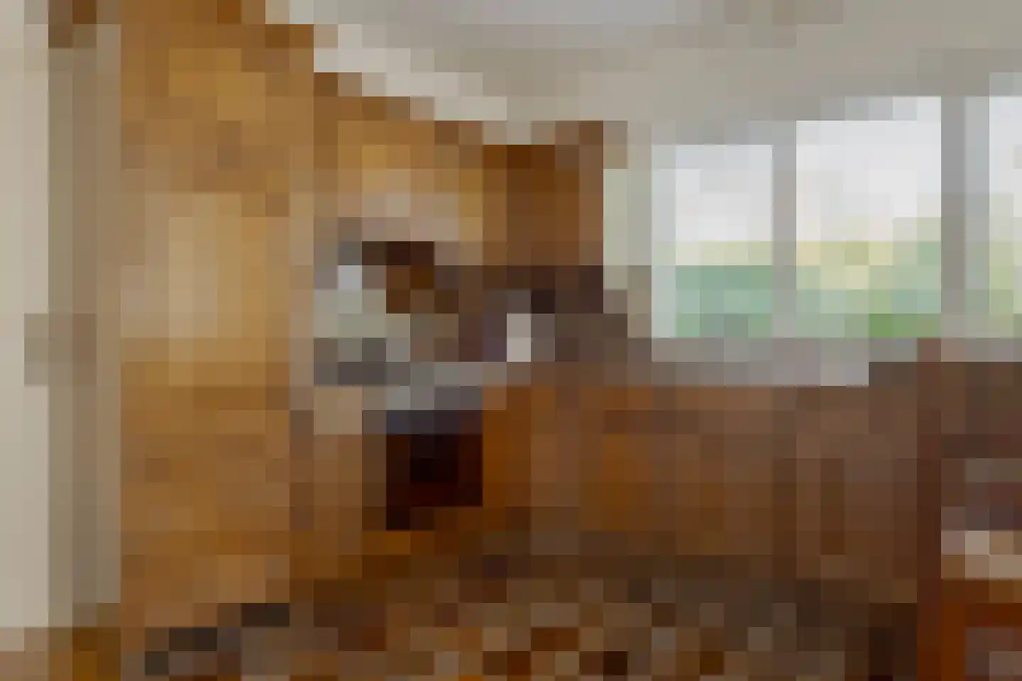 Groenestein 21 Roden thumbnail 27
