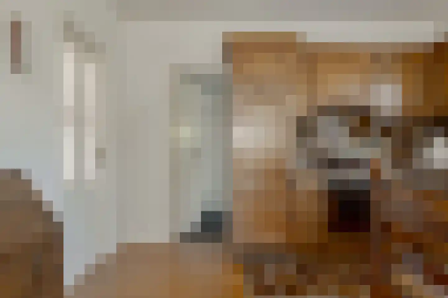 Groenestein 21 Roden thumbnail 28
