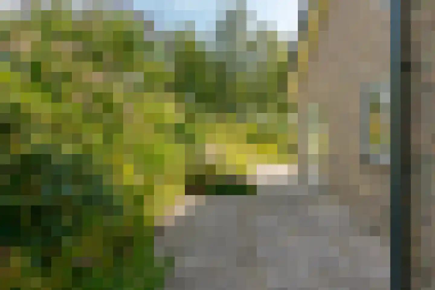 Groenestein 21 Roden thumbnail 35