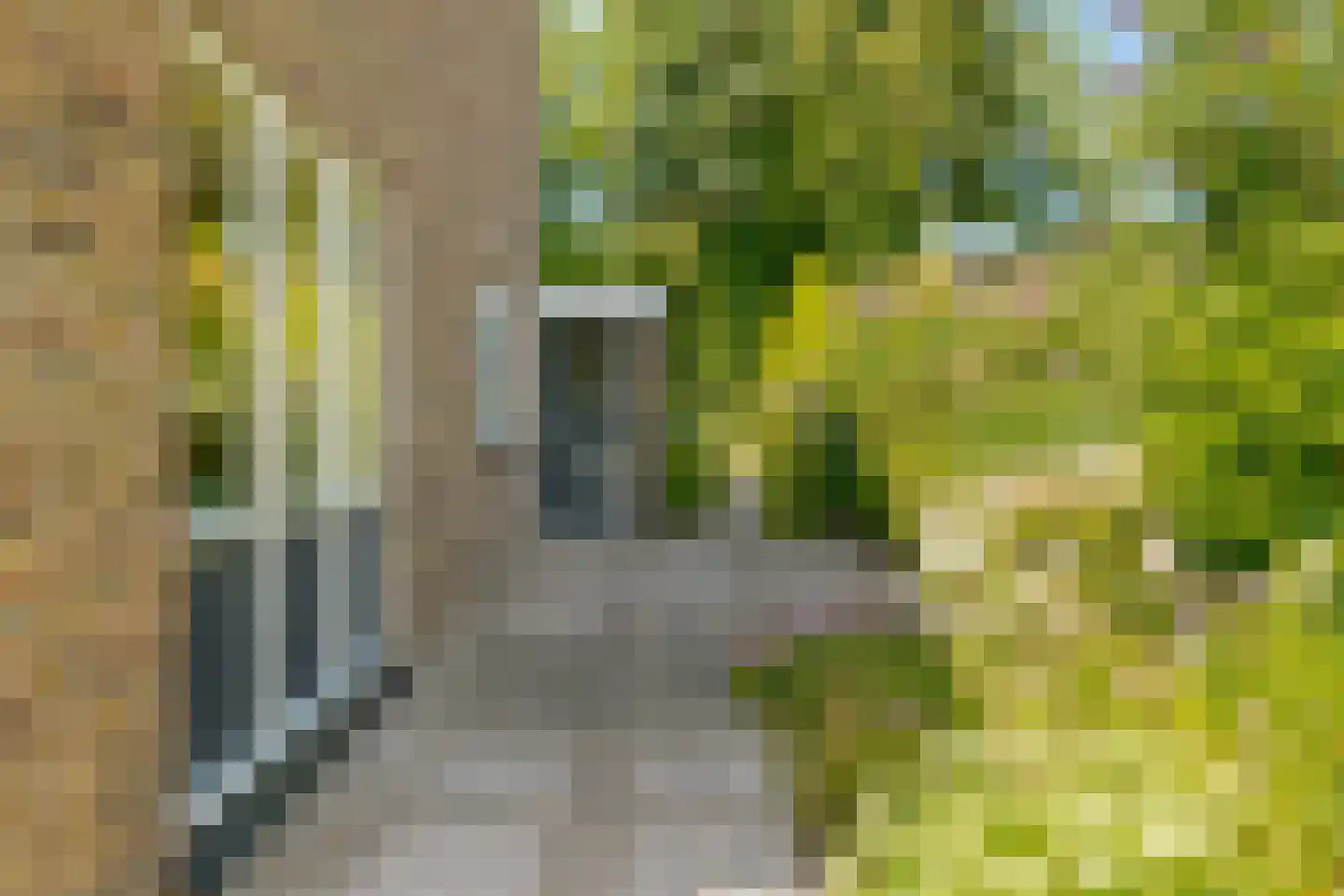 Groenestein 21 Roden thumbnail 36