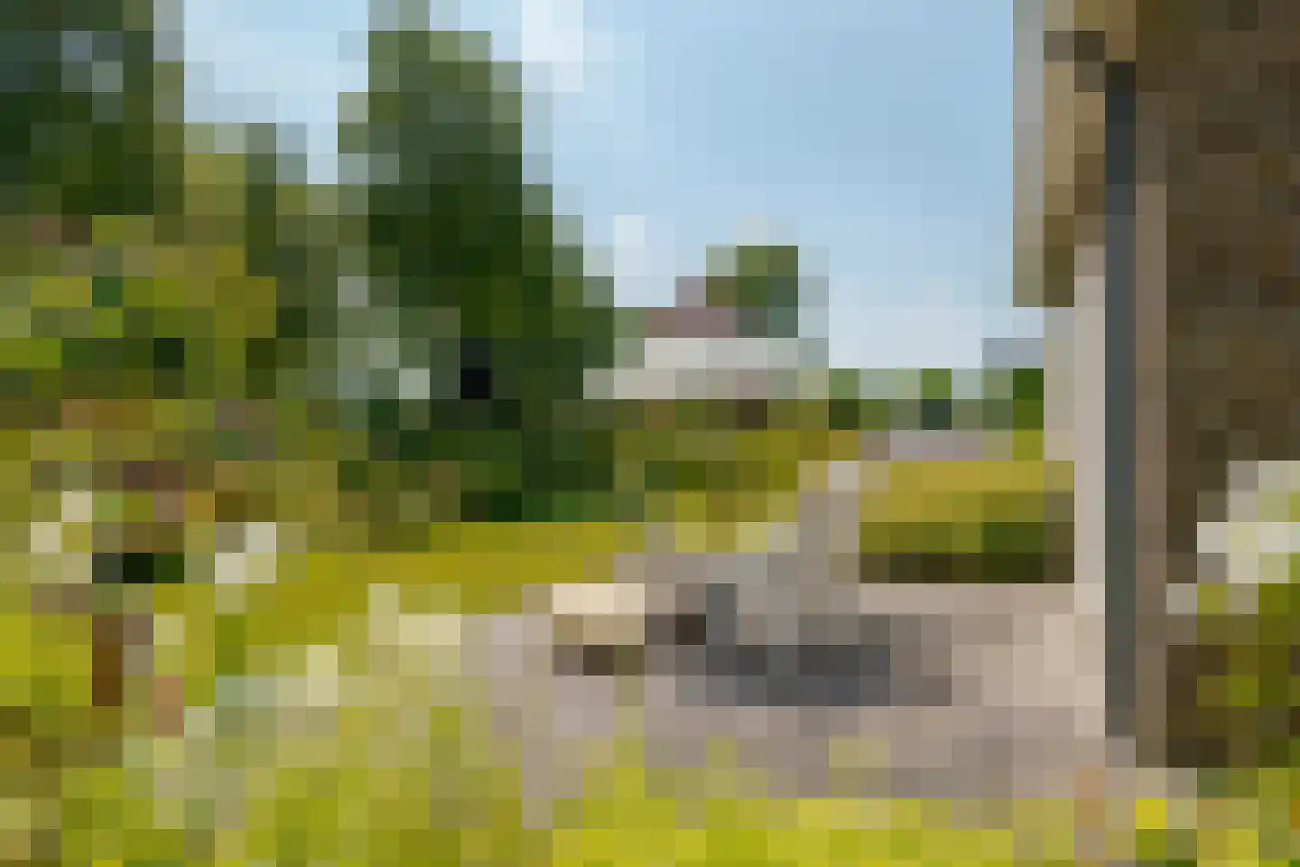 Groenestein 21 Roden thumbnail 37