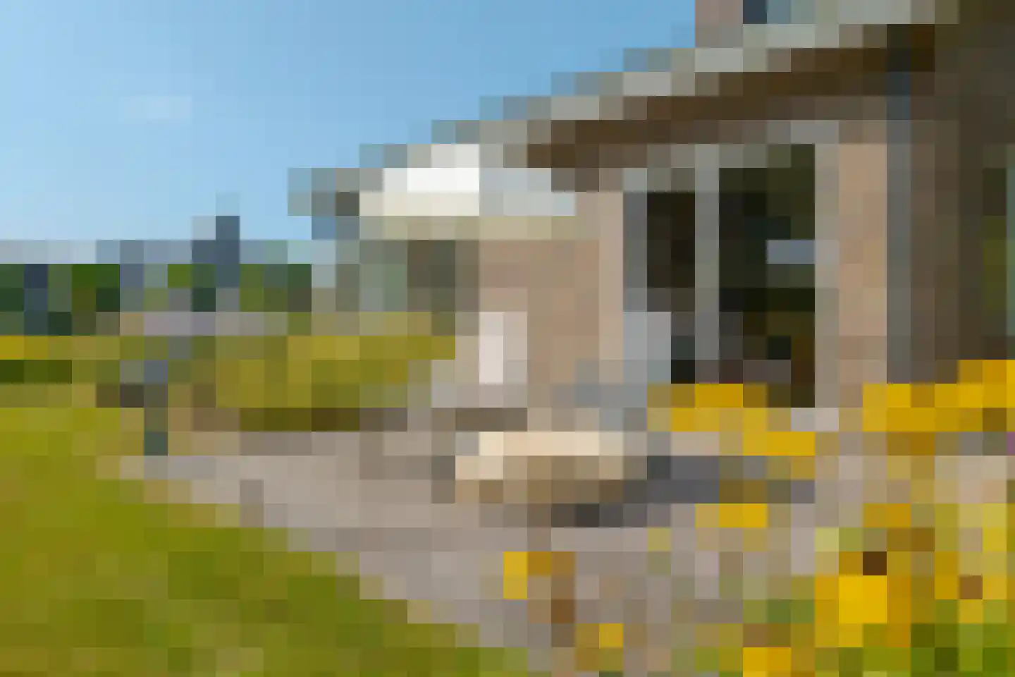 Groenestein 21 Roden thumbnail 38