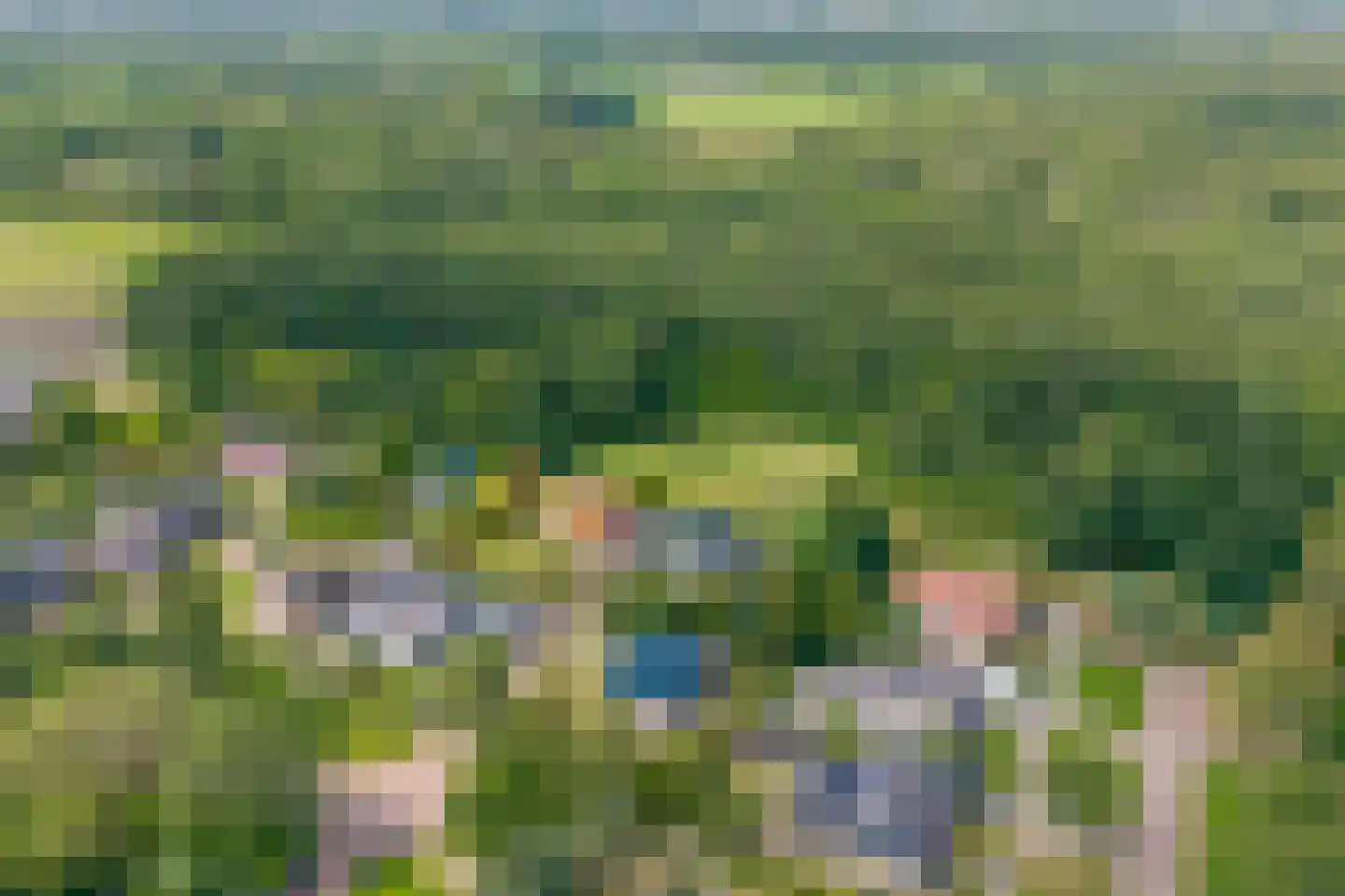 Groenestein 21 Roden thumbnail 40